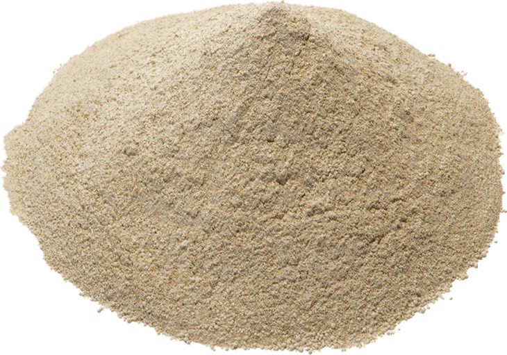 layer nutrition